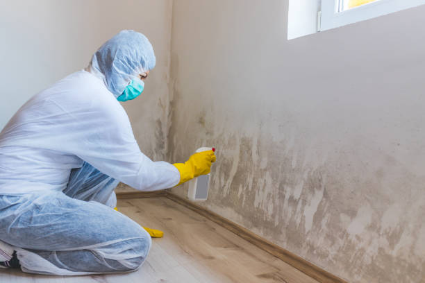 Bathroom Mold Removal assessment in Elgin bathroom