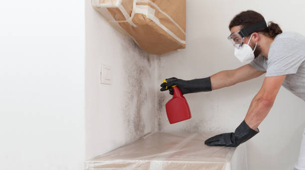 Attic Mold Remediation treatment on roof deck in Elgin